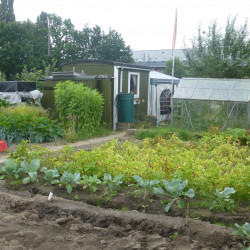 P1170024.JPG